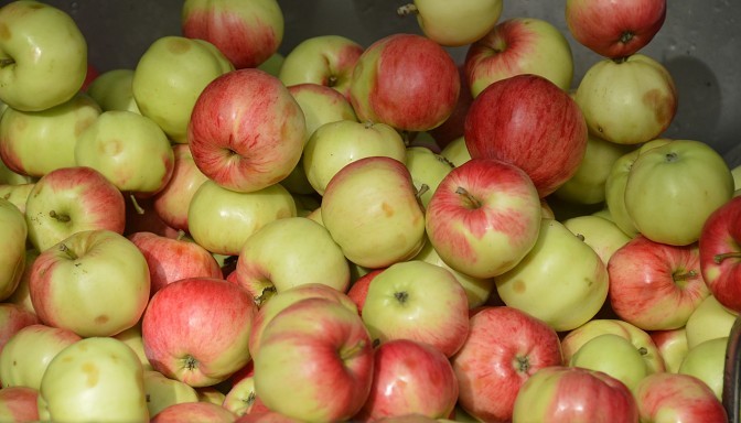 Иллюстративное фото