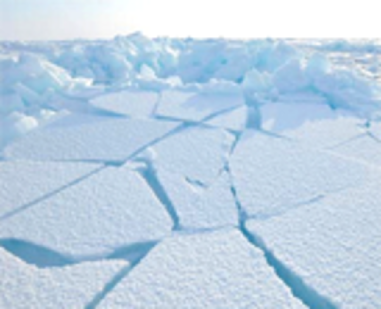 фото innovanews.ru