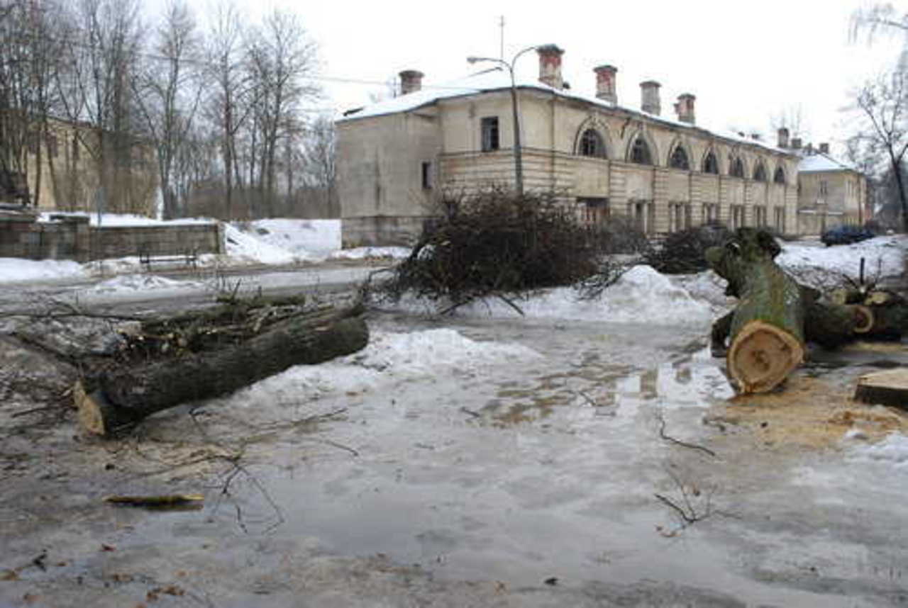 фото В. Цыганкова