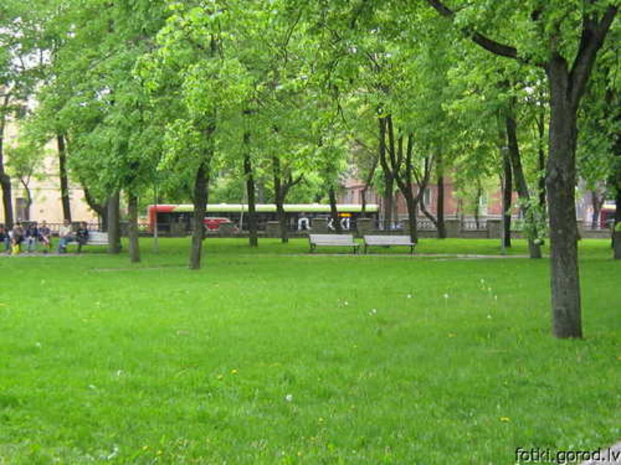 фото В. Соколова