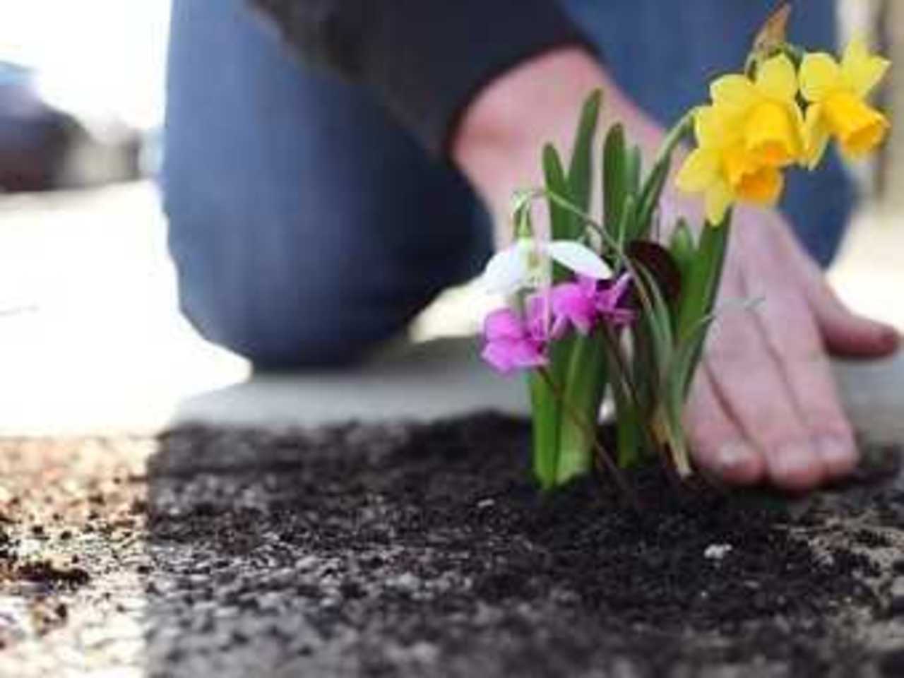 Садовник-энтузиаст за работой. Фото с сайта thepotholegardener.com