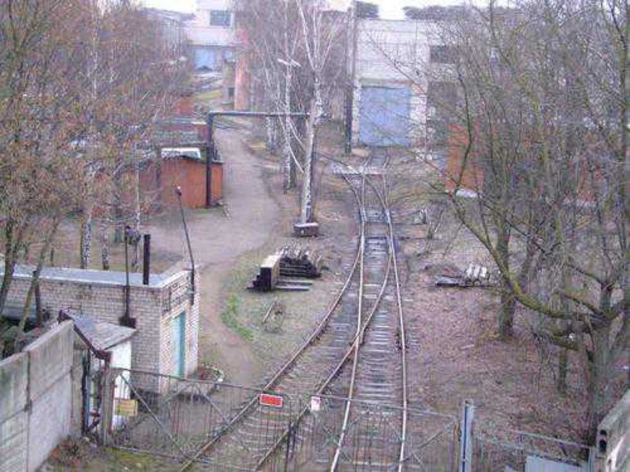 Фото В. Цыганкова