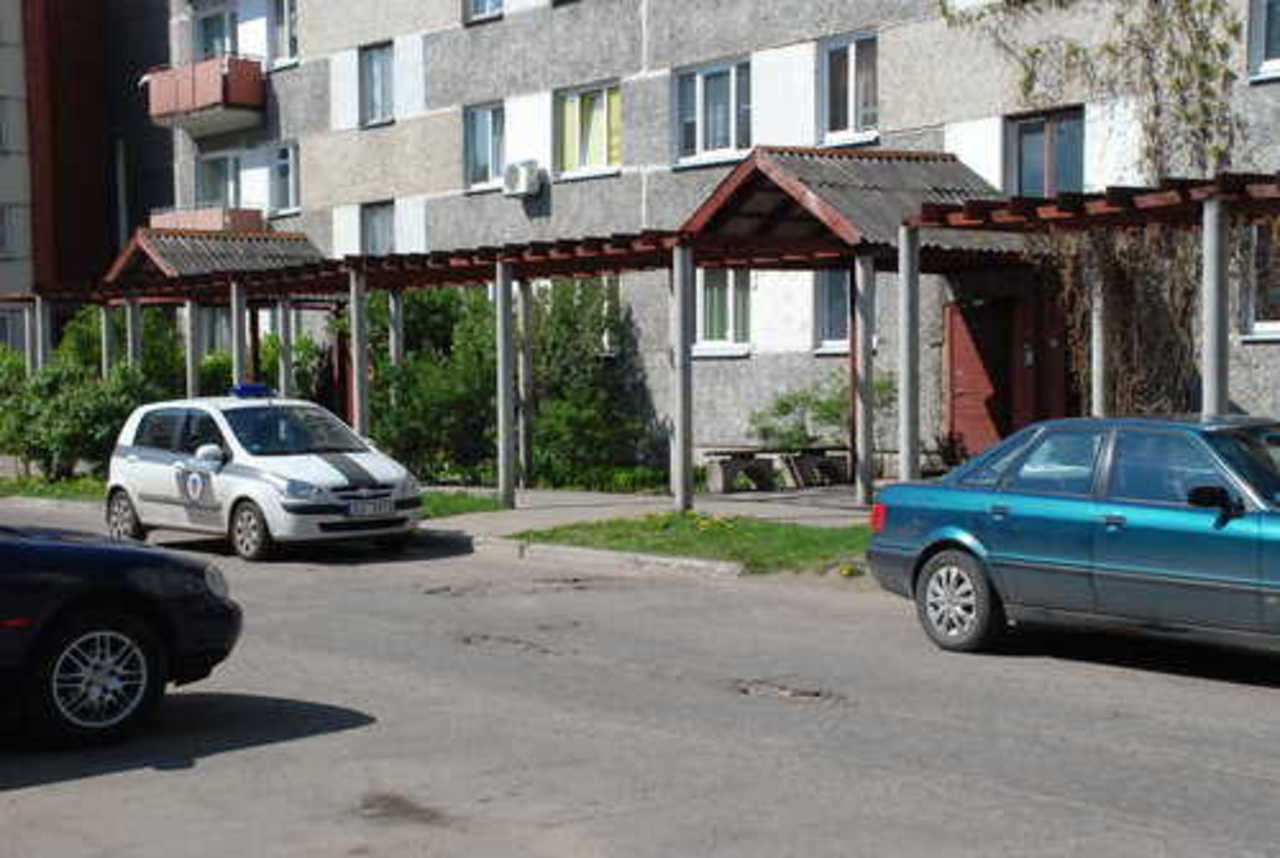 фото В. Цыганкова