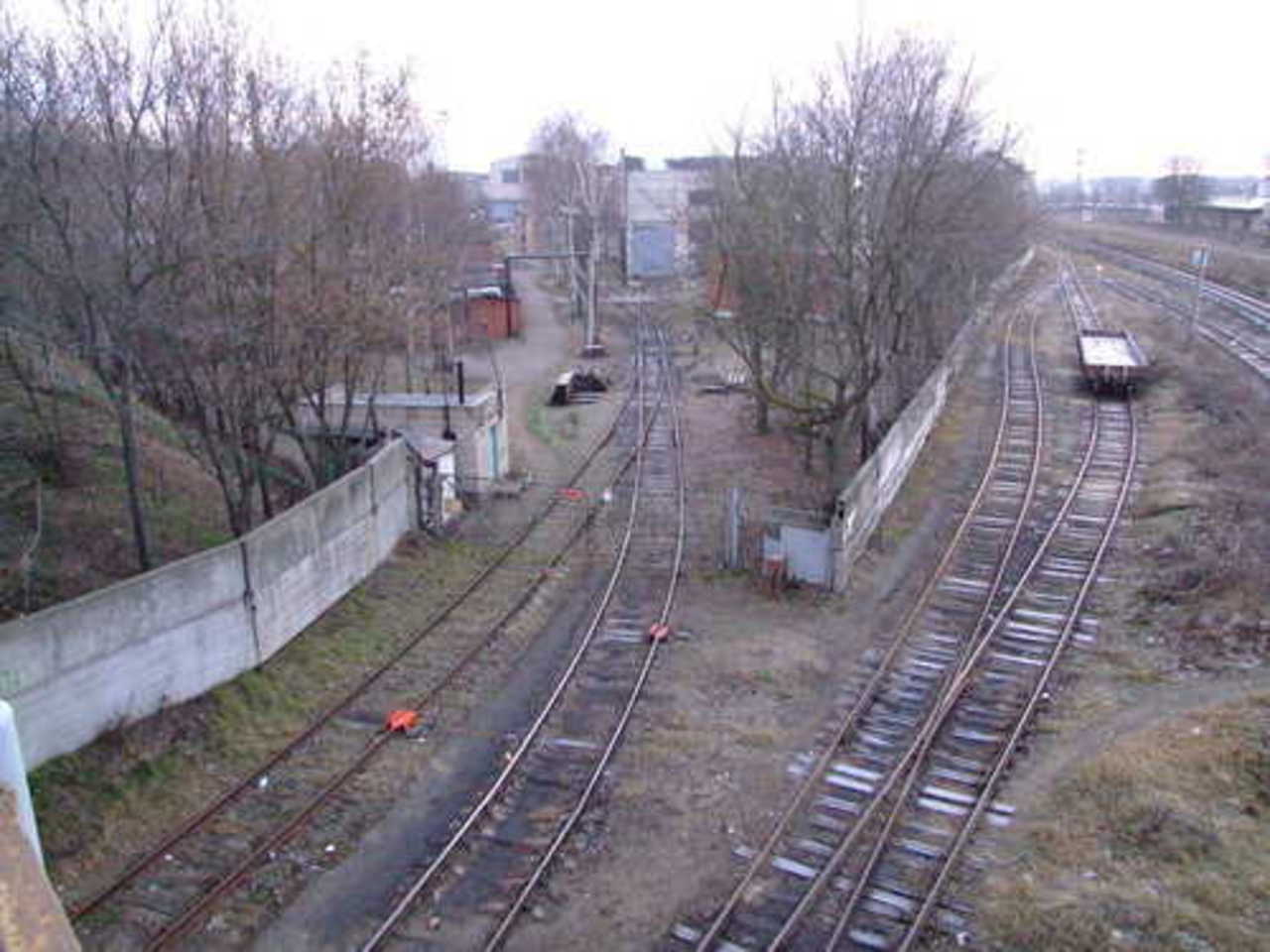 Фото В. Цыганкова