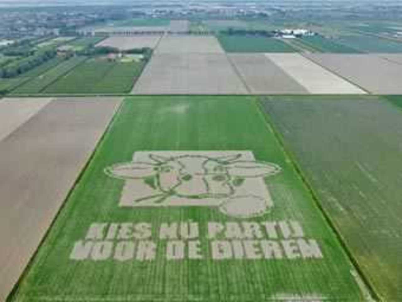 Фото с сайта rnw.nl