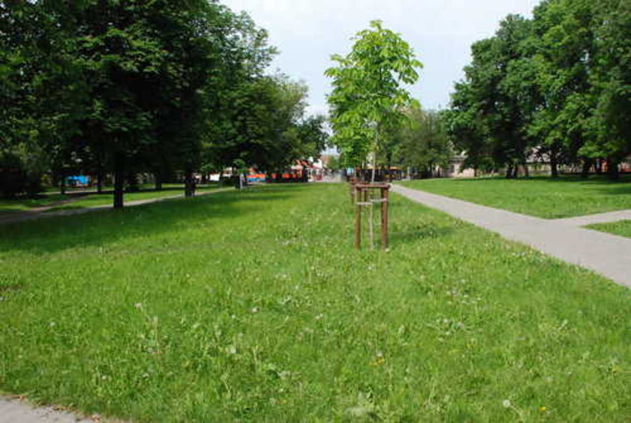 фото В. Цыганкова