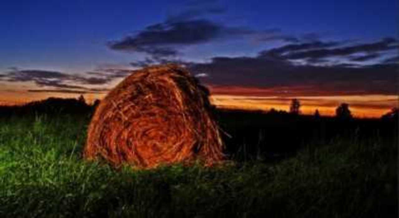 Foto: Edijs Pālens