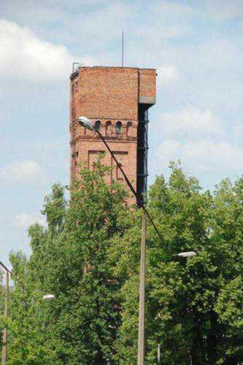 Фото В. Цыганкова