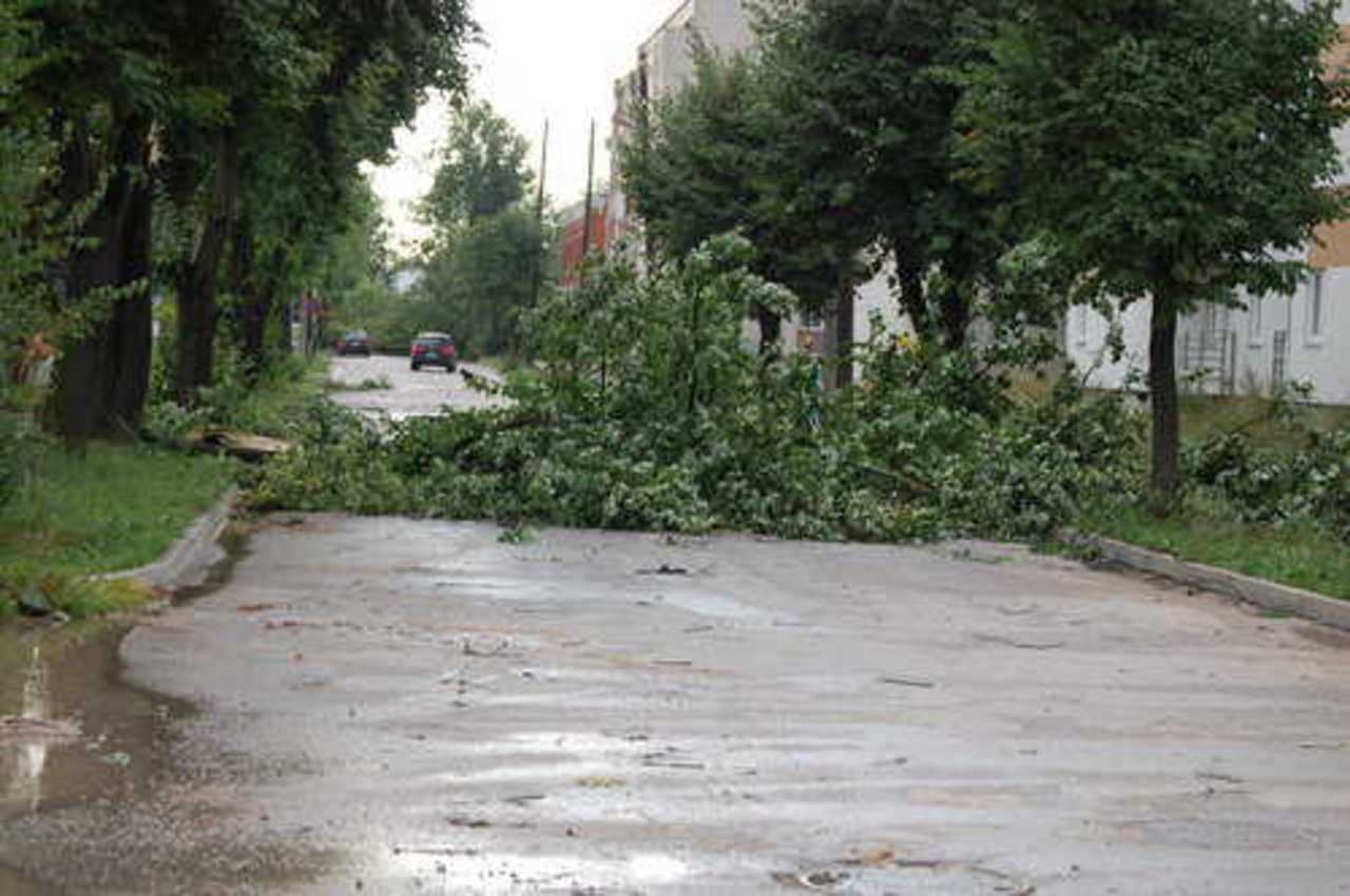 Фото О. Чаплыгиной