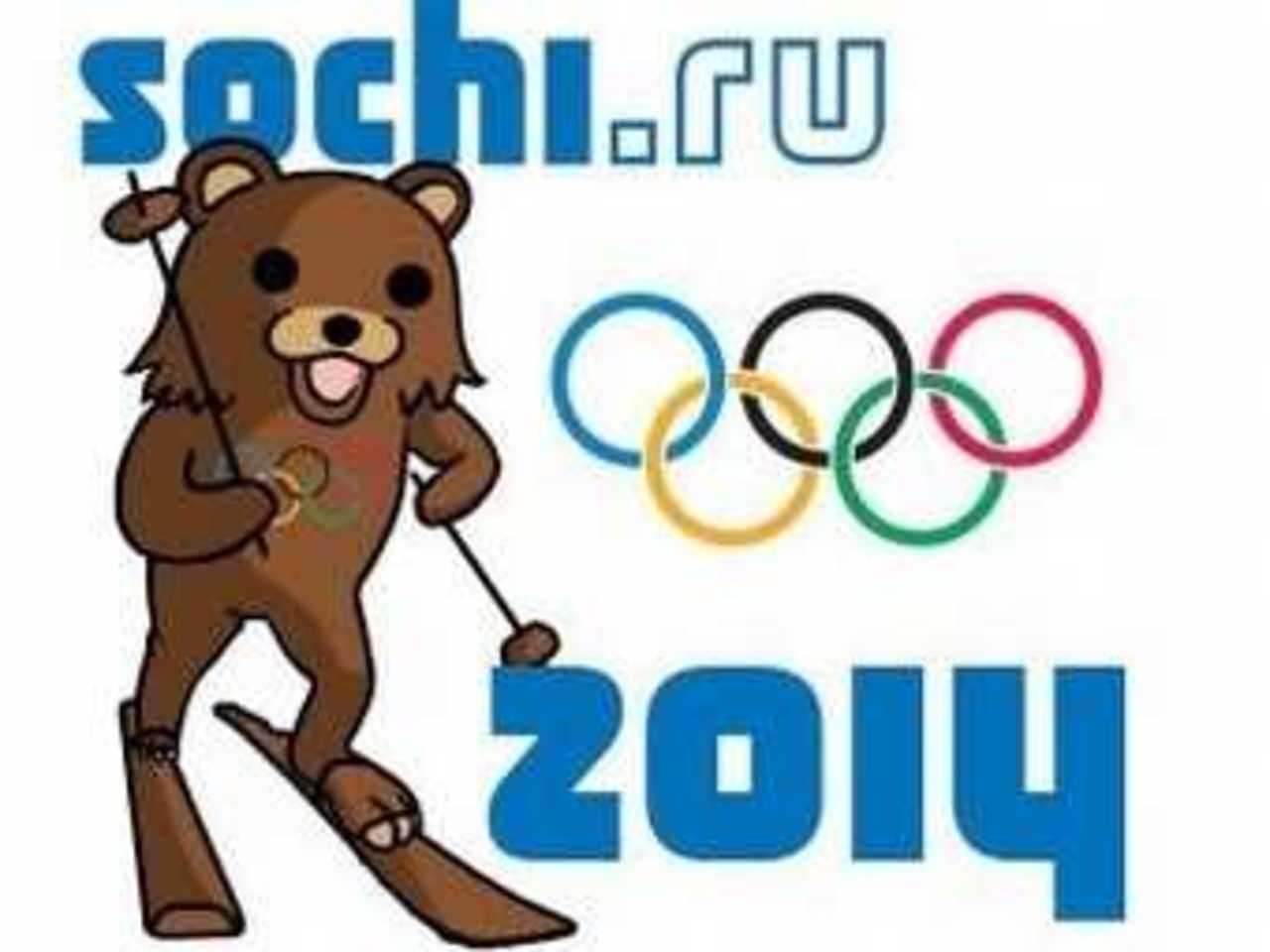 Педомедведь Петр на конкурсе талисманов Сочи-2014. Изображение с сайта talisman.sochi2014.com