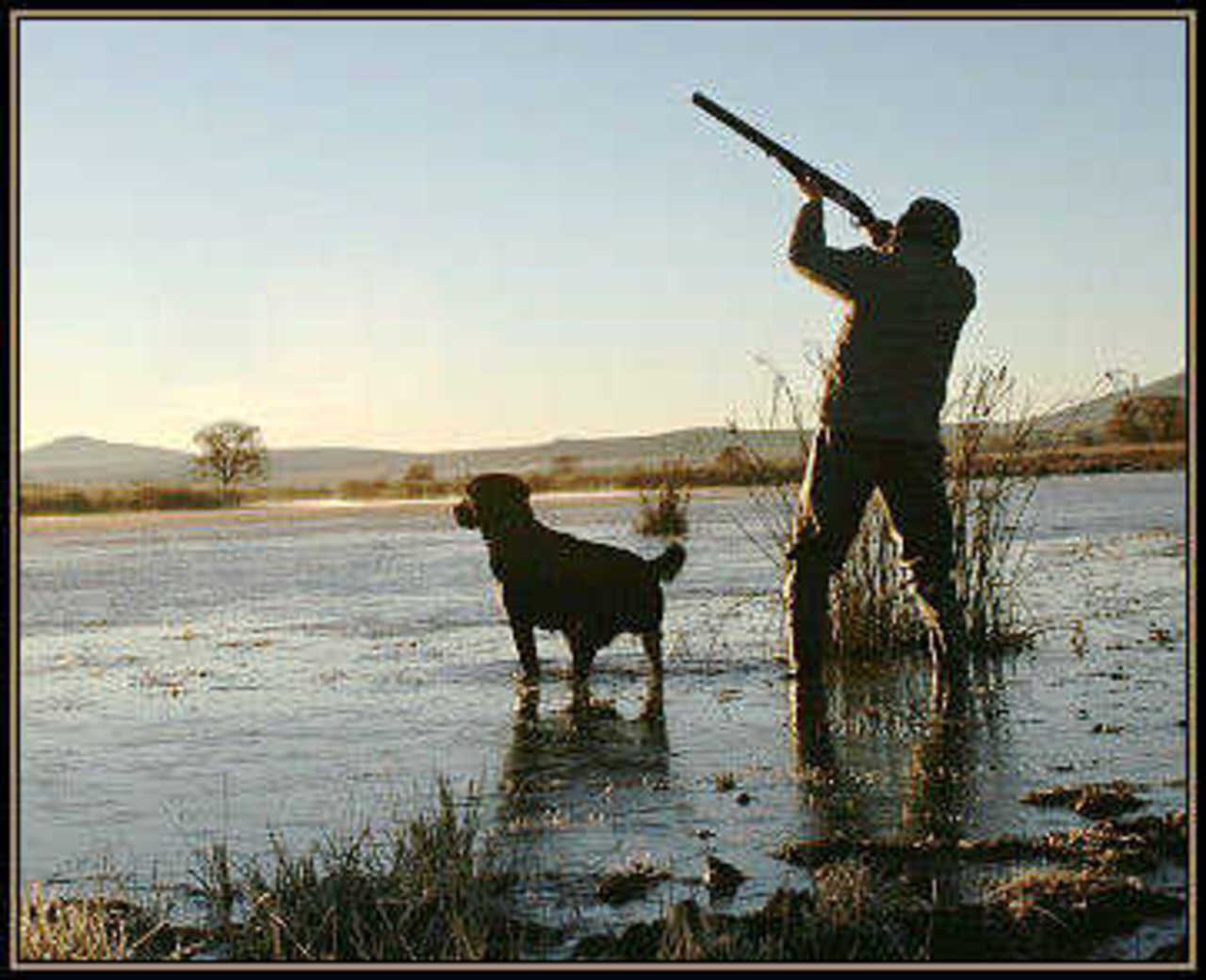 http://www.willowcreekoutfitters.com/