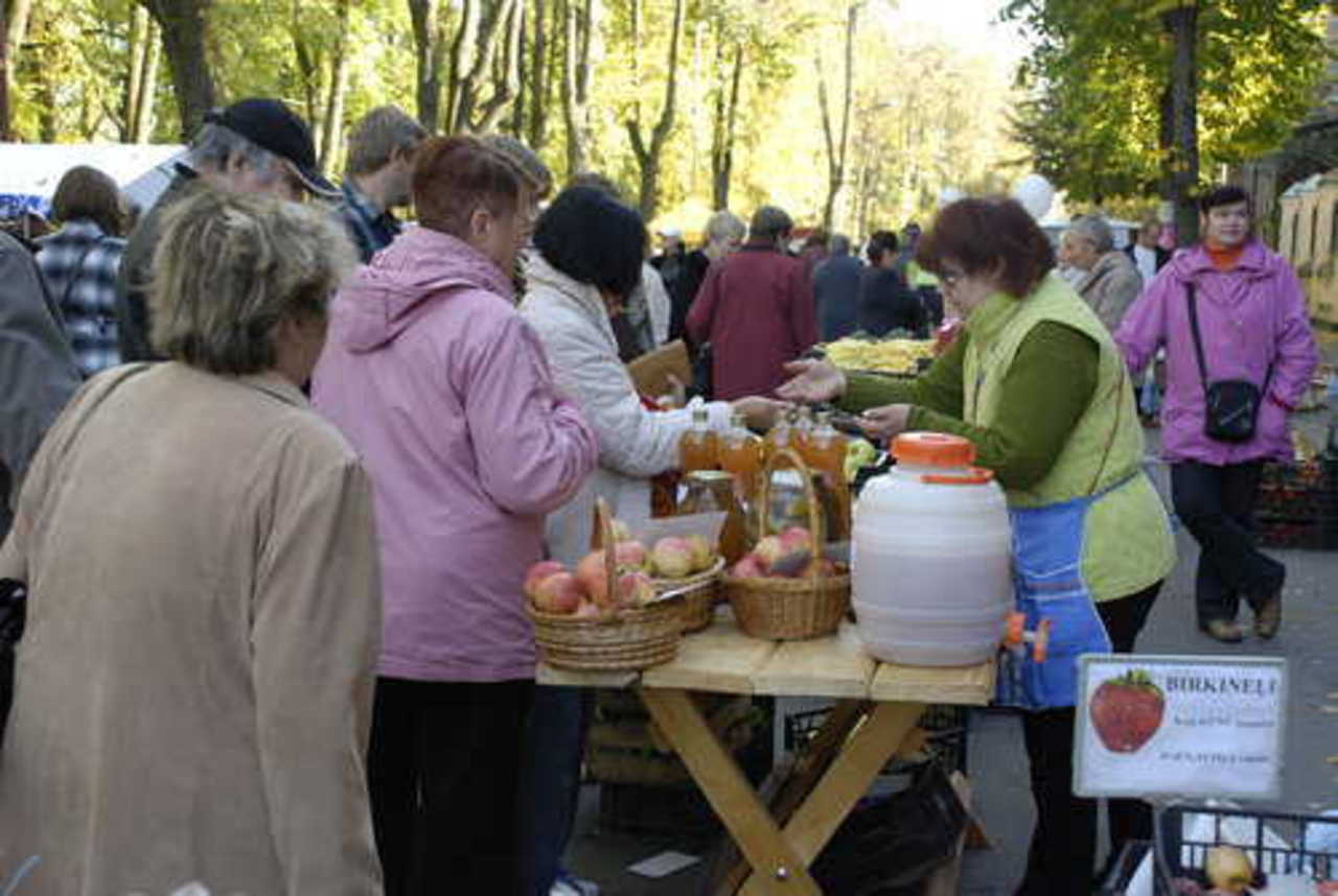 фото В. Цыганкова