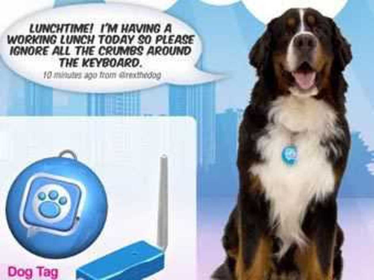 Изображение с сайта PuppyTweets