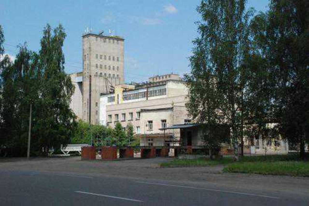 фото В. Цыганкова