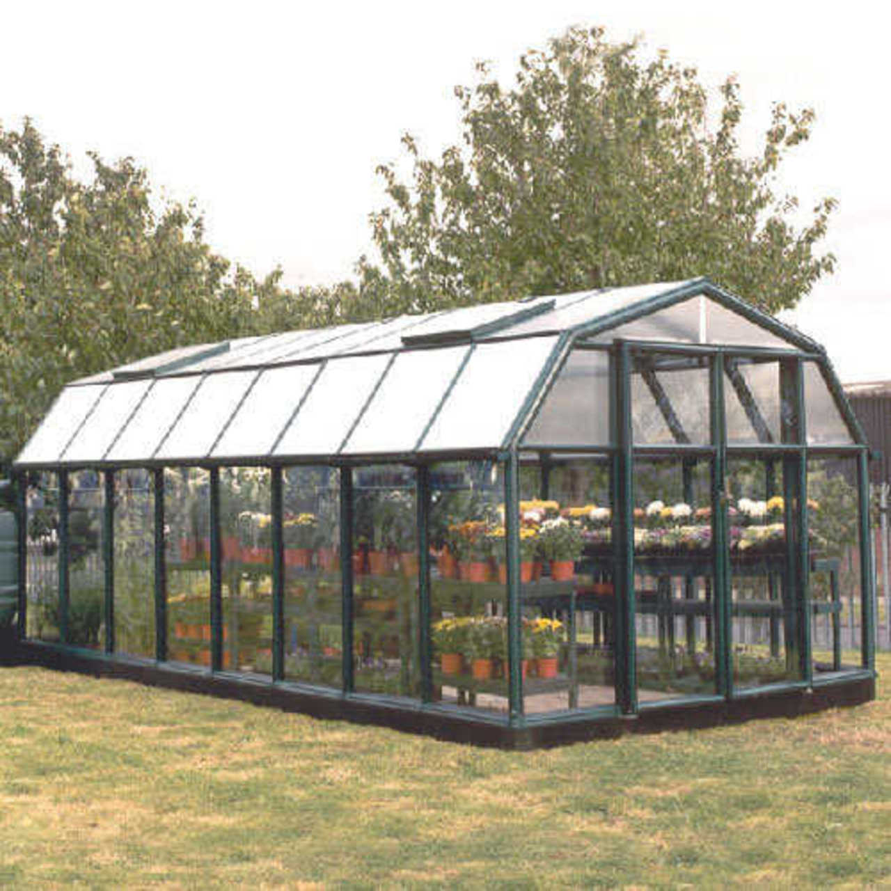 фото: growingtomatoes-info.com