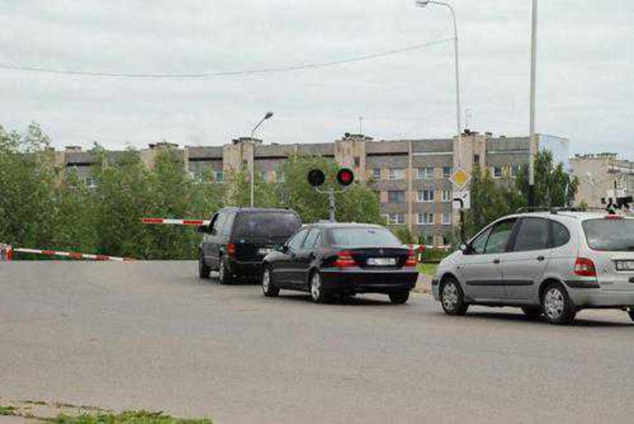 фото В. Цыганкова