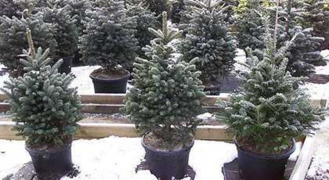 Foto: F64