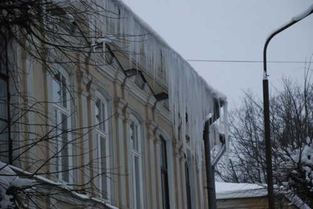 фото В. Цыганкова
