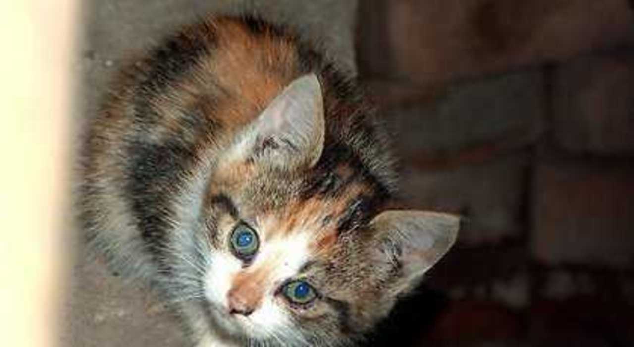 Foto: DELFI