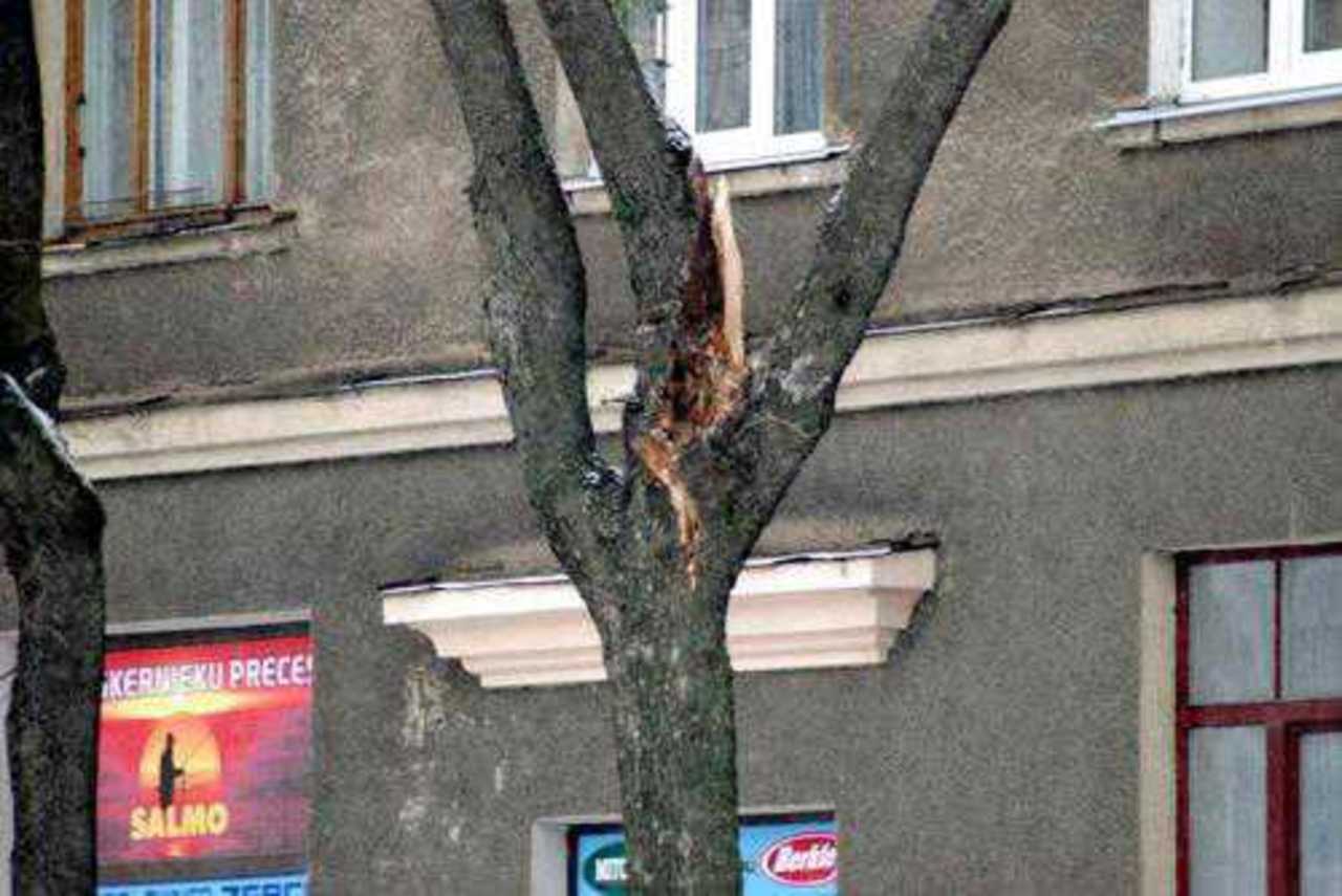 фото В. Цыганкова
