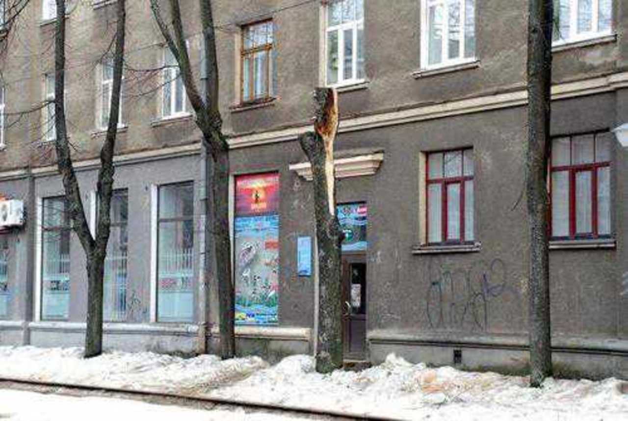 фото В. Цыганкова