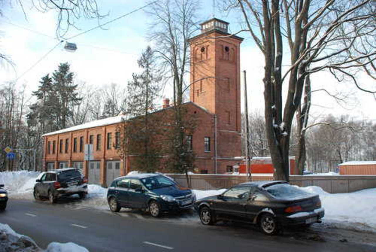 фото В. Цыганкова