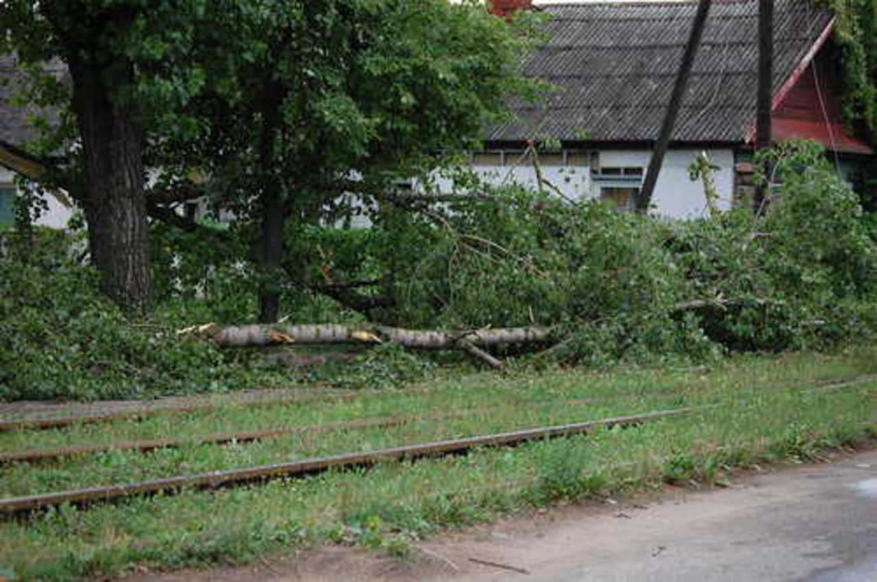 Фото Ольги Чаплыгиной