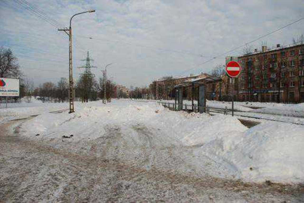 фото В. Цыганкова