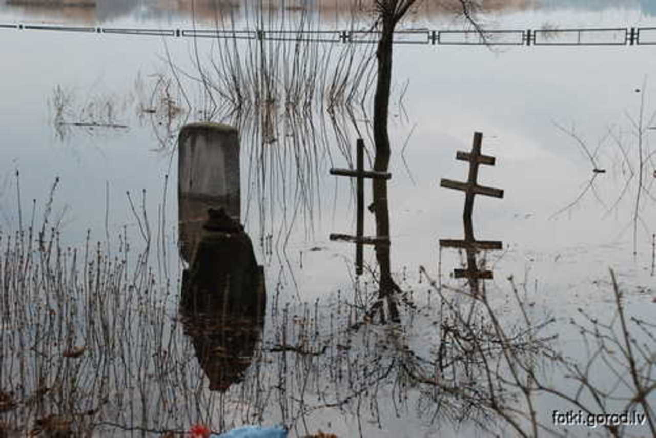 фото В. Цыганкова