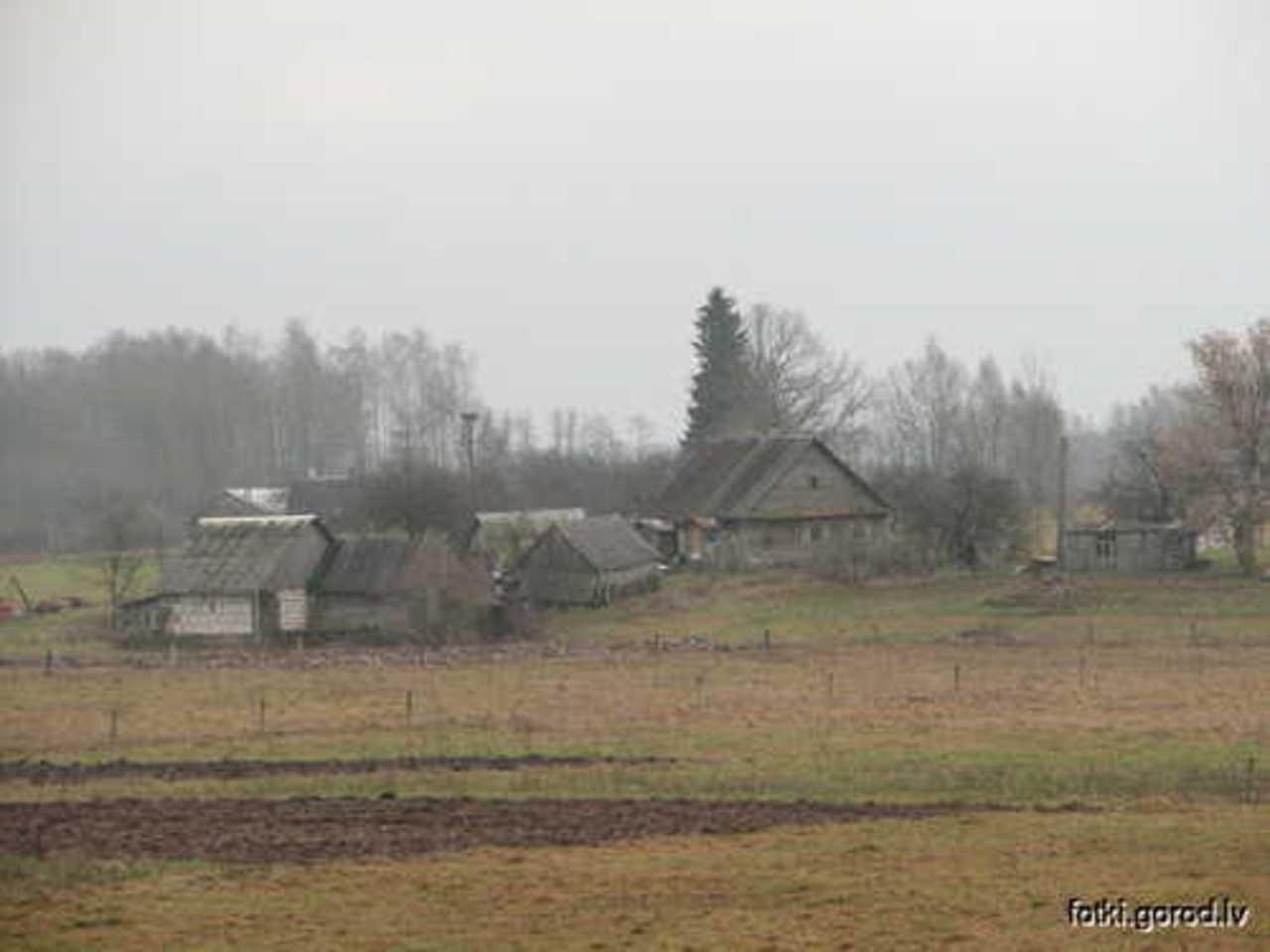 фото В. Цыганкова