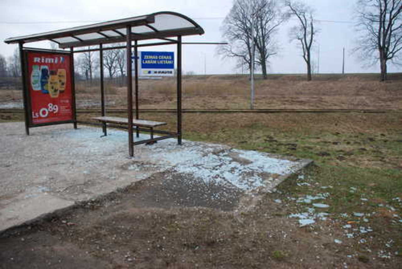 фото В. Цыганкова