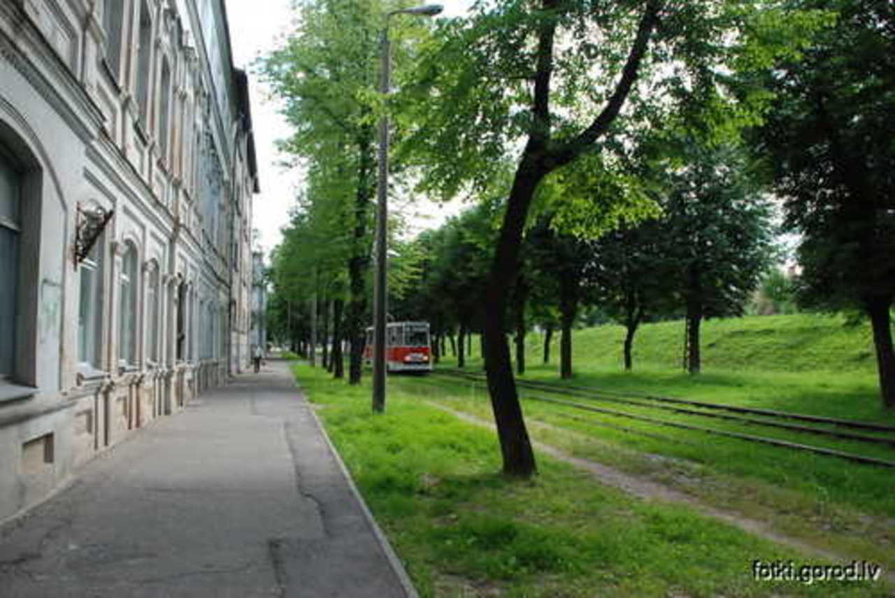 фото В. Цыганкова