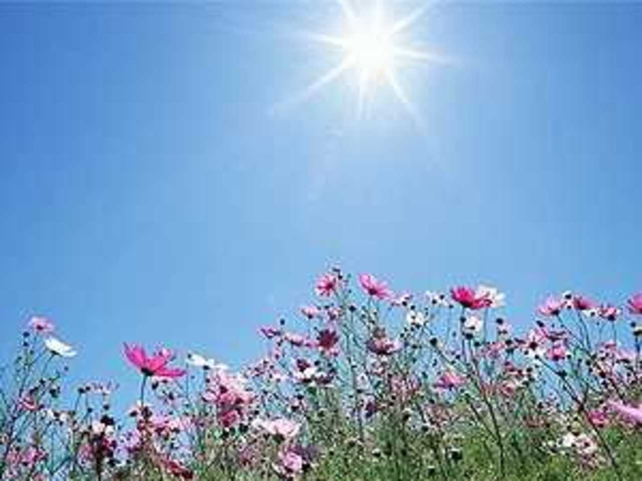 forum.aroma-beauty.ru.