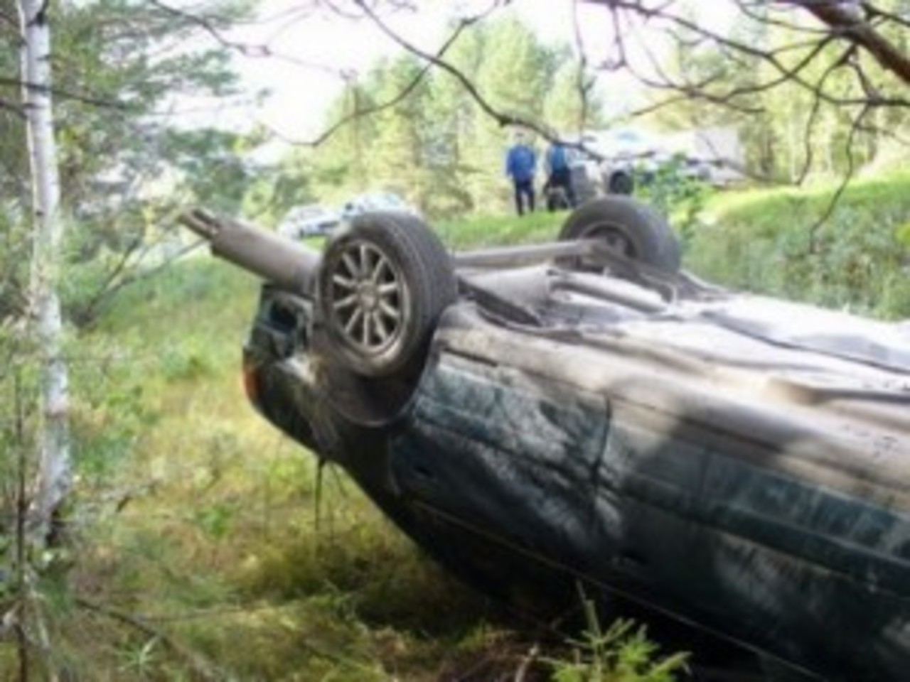 sar.rodgor.ru