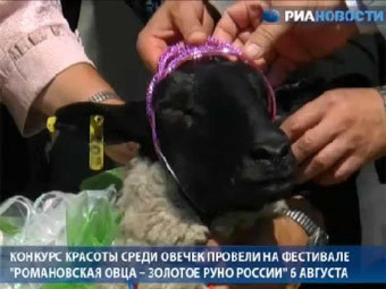 Кадр видеозаписи РИА Новости