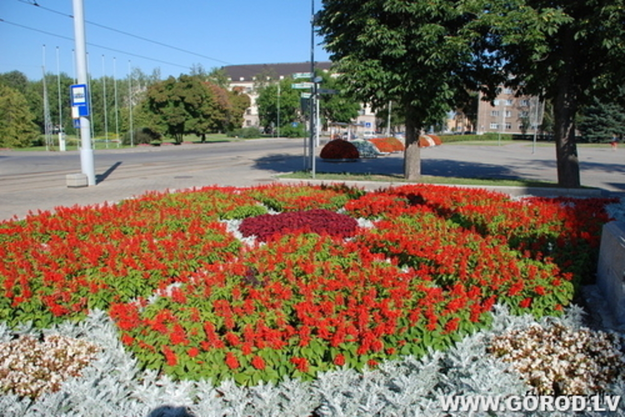 фото В. Цыганкова