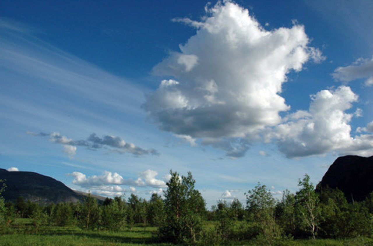 segodnya.ua