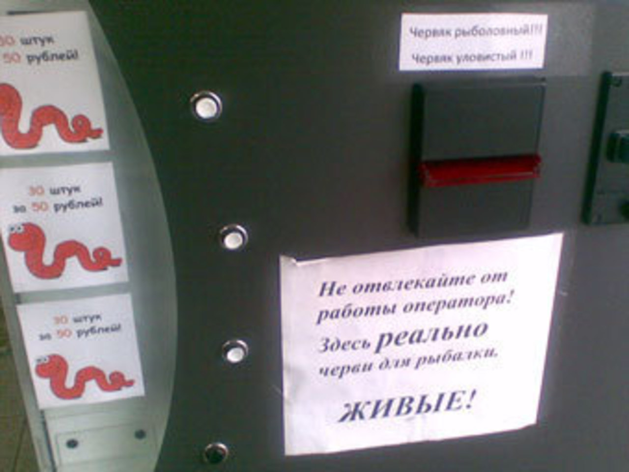 Фото из блога id-domenator