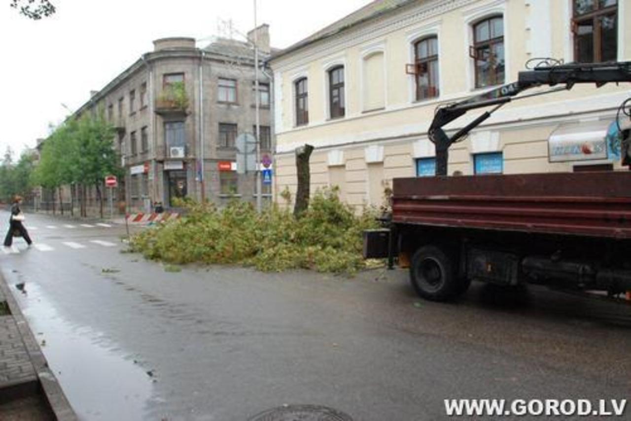 Фото В.Цыганкова
