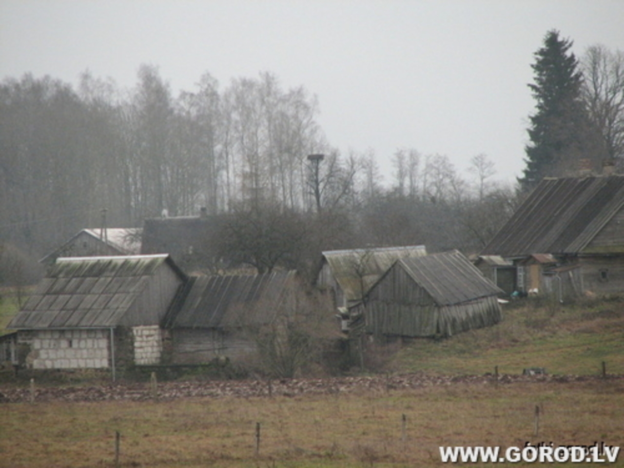 фото В. Цыганкова