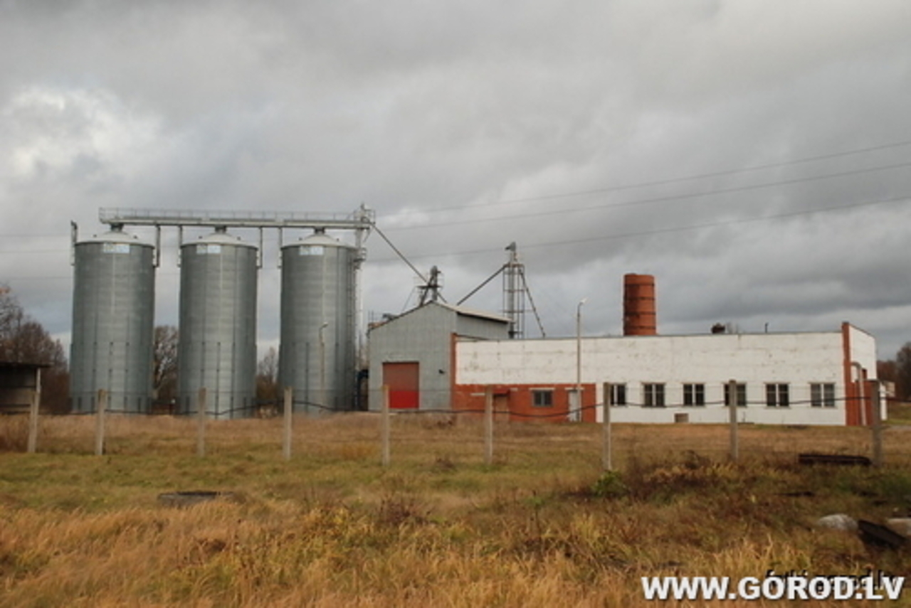 Фото В.Цыганкова