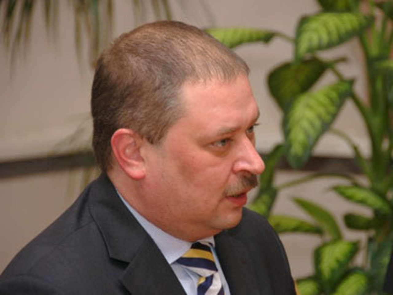 regnum.ru