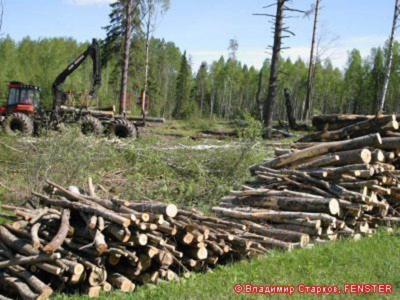 фото с сайта ves.lv