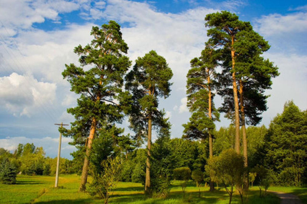 gremlinby.fotoblog.by