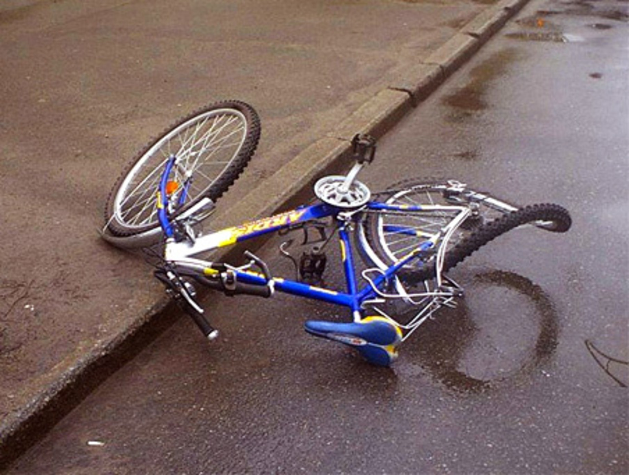velolife.by