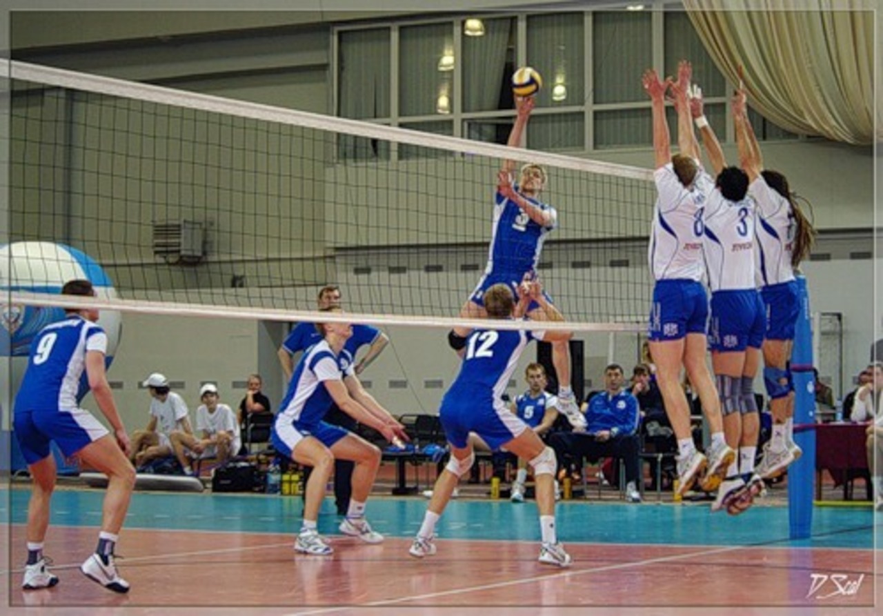 dinamottg.ru