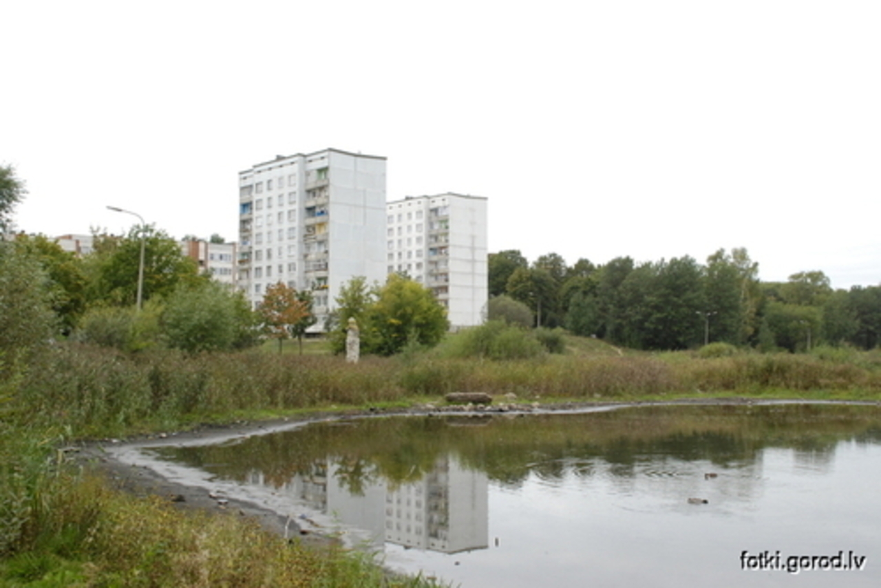 Фото В. Цыганкова