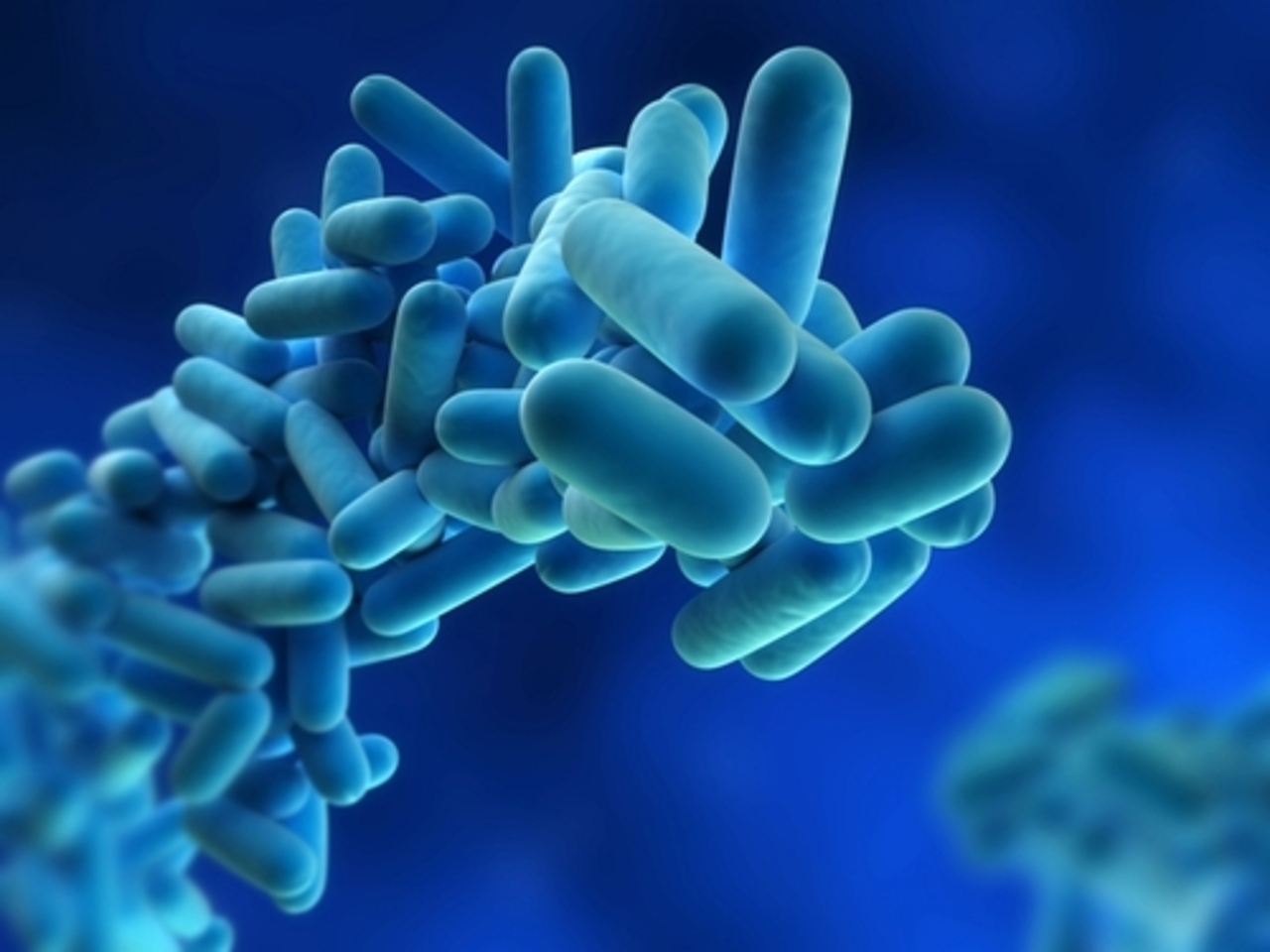 kosmofysis.com