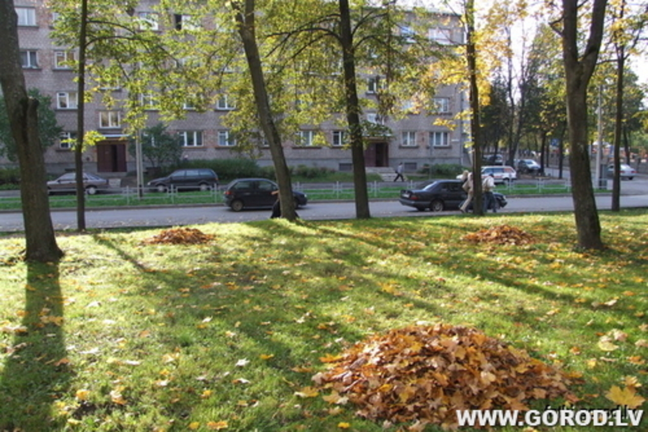 Фото В.Цыганкова