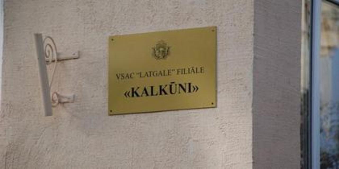 Фото В. Цыганкова